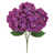 Mauve prune