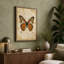 Painted Lady Study Botanical - Wrapped Canvas-84781321-84781327