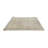 Oriental Indoor Rug-1938888144