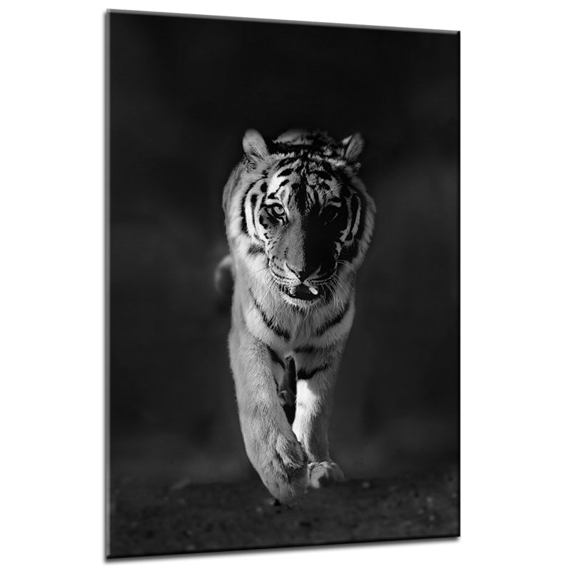 Animals Glasspik Tiere - No Frame Print on Glass
