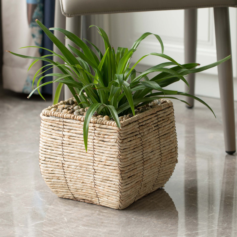 Mckenna Pot Planter, 8.25" H x 8.75" W x 8.75" D