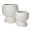 Goodlow Handmade Ceramic Pot Planter-166255279