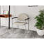 Chaise d'invité Chat Chat-98671304-98882117