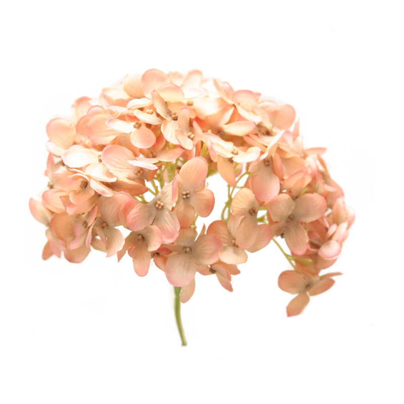 Arrangement