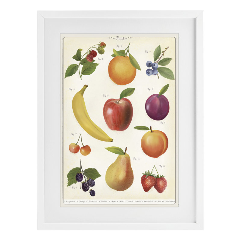 Collection de fruits, étude encadrée sous verre, conception par Diane Neukirch, 20 x 14, Coastal White Under Glass Framed