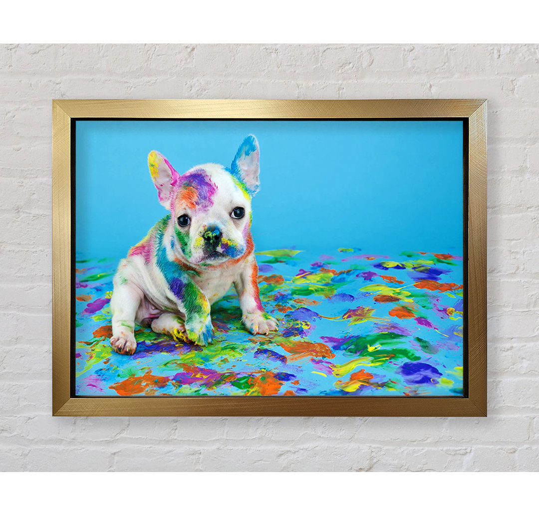 Französische Bulldogge Paint Party - Einzelner Bilderrahmen Kunstdrucke