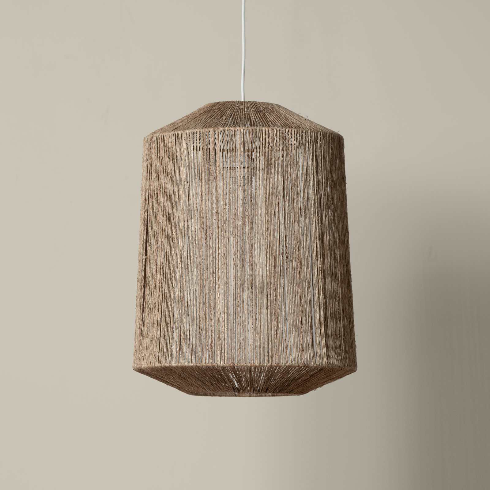 Single Light Dimmable Pendant