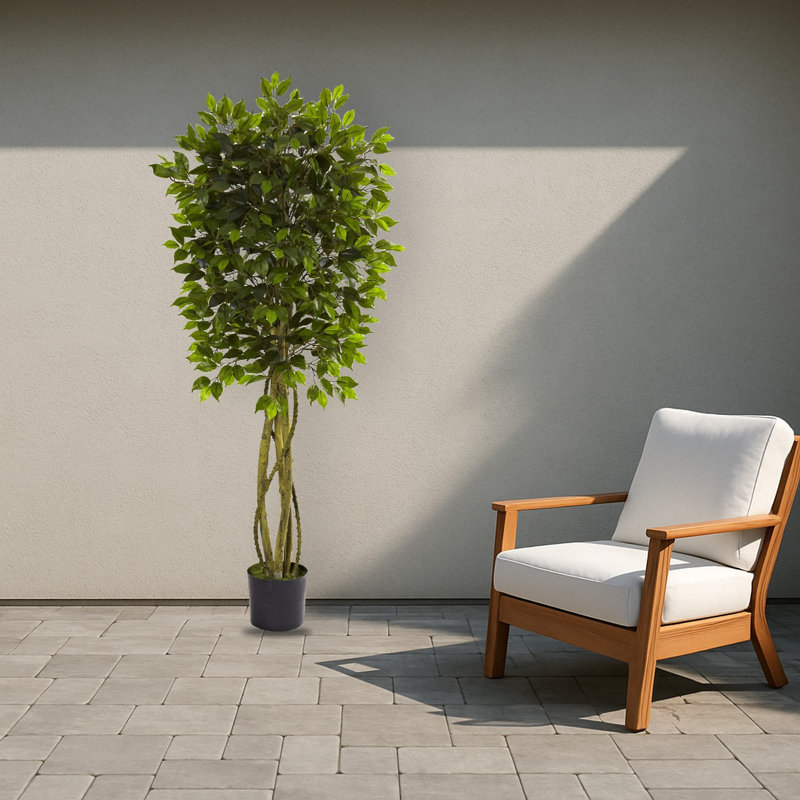 Ficus Artificial Tree
