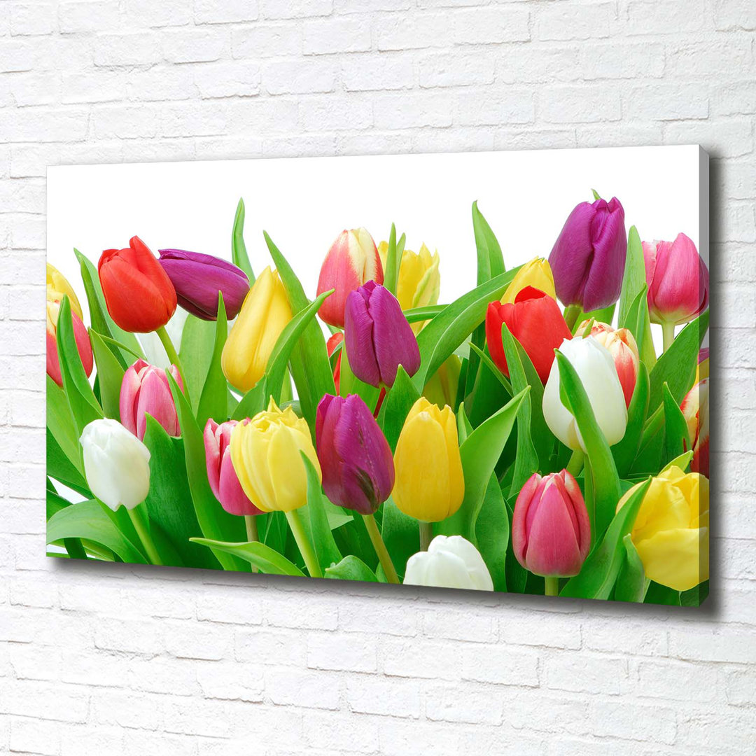 Bunte Tulpen - Kunstdrucke auf Leinwand