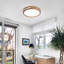 LED Flush Mount