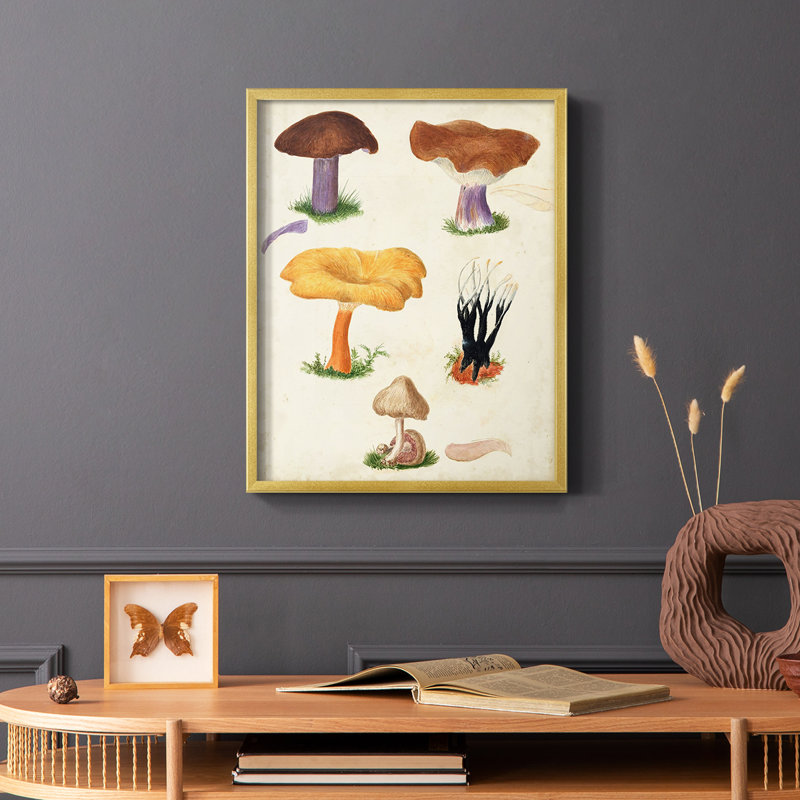 Reproduction encadrée Mushroom Species VII - bois massif, Or, H 10 po x l 8 po