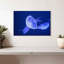 Crowle Sea Moon Jellyfish-111984750