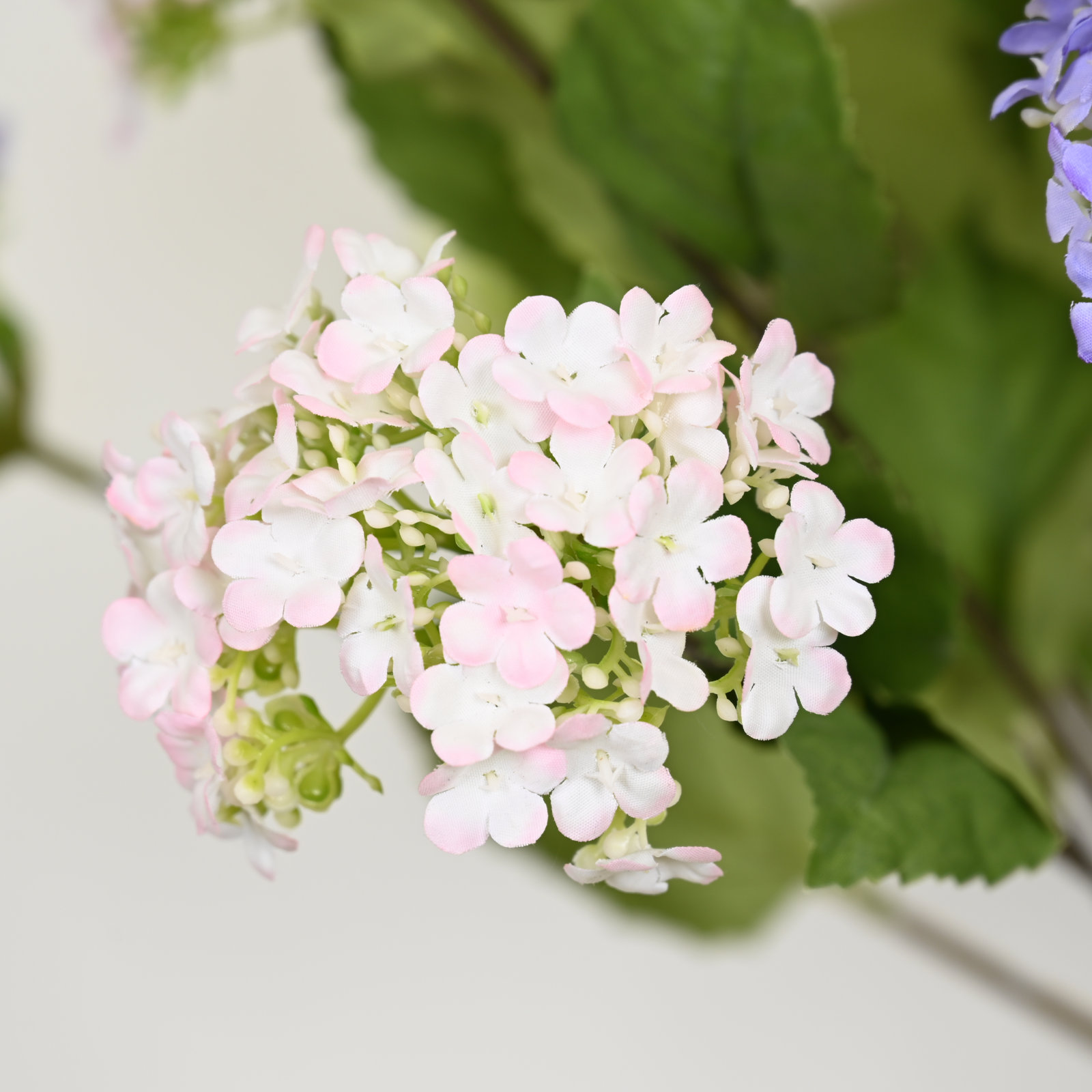 Hydrangea Floral Arrangement