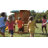 Backyard Discovery Tucson Cedar Wood Swing Set with Wave Slide, Play Deck, Rock Wall Ladder, and Snack Bar Window