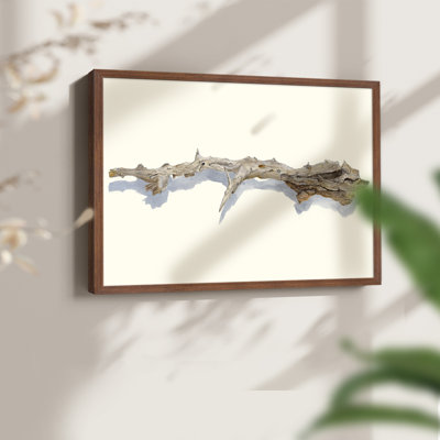 «Driftwood Study I», reproduction encadrée
