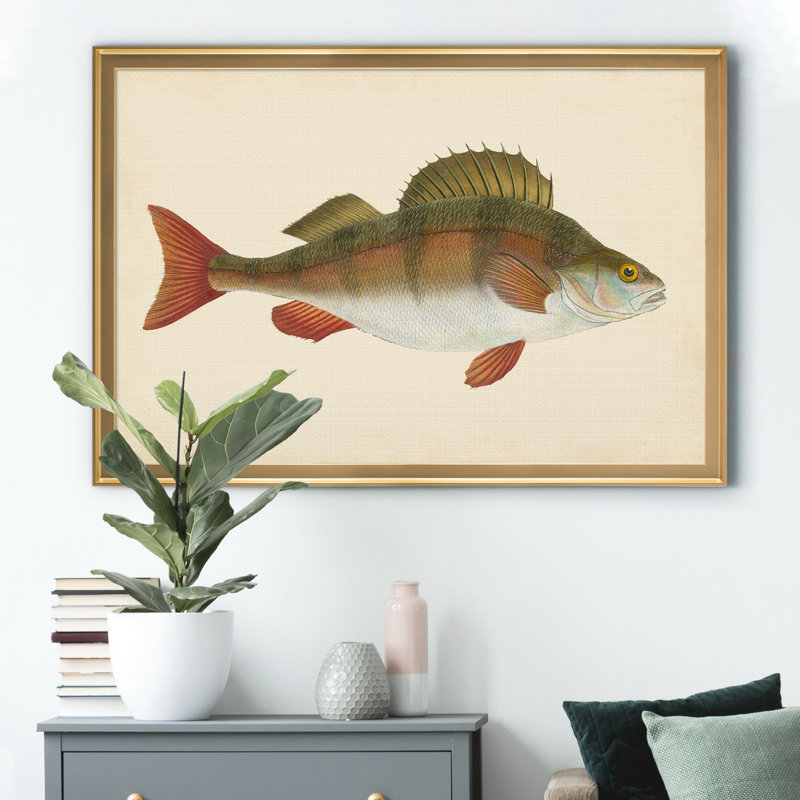 «Donovan Antique Fish I», cadre photo, impression sur toile, H 26,5 po x l 36,5 po x P 1,5 po, Doré