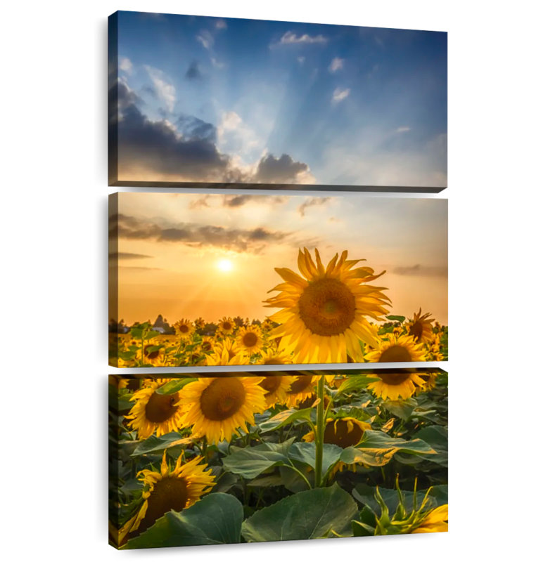 Harnek Sunset With Beautiful Sunflowers, 32" H x 20" W