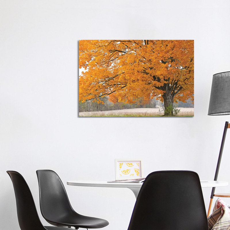 Morning Maple by Brian Wolf - Wrapped Canvas Gallery-Wrapped Canvas Giclée, 101.6 cm H x 66.04 cm W x 1.91 cm D