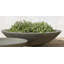 Zen Planter-24768416-24768428