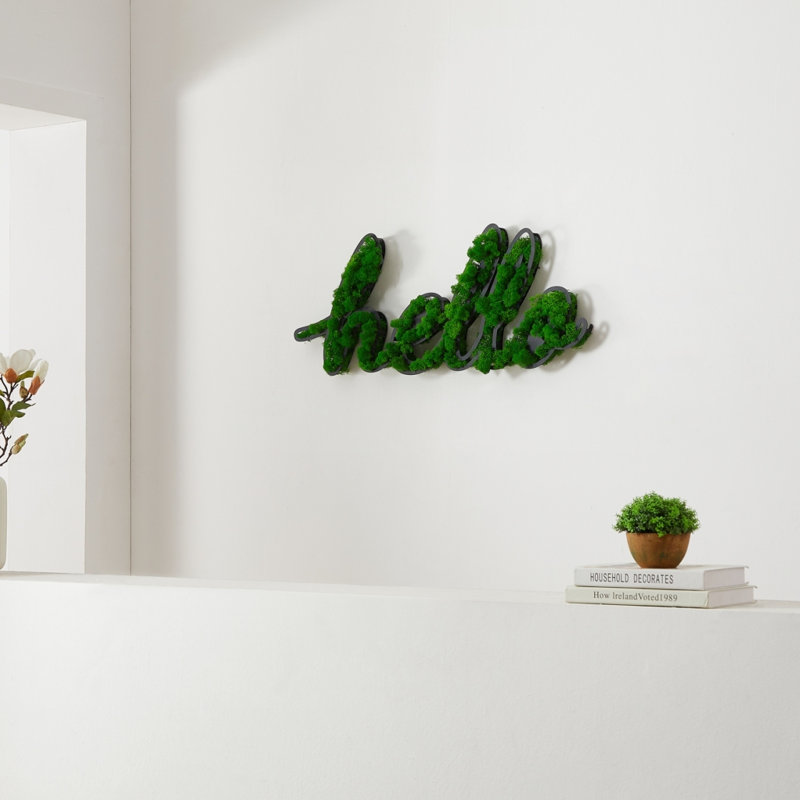 Décoration murale HELLO lettre Art Moss