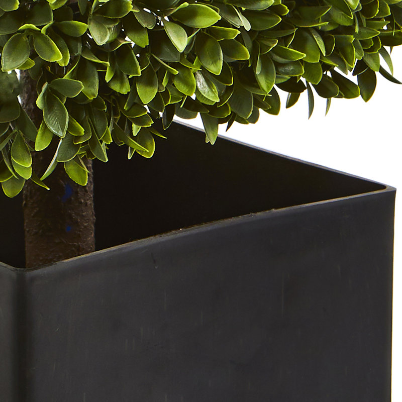 Plante buis artificielle en pot de fleurs