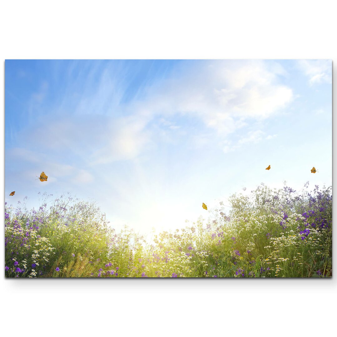 Leinwandbild Sommerliche Blumenwiese