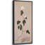 Minimaliste fleur blanche sur fond beige neutre - grande impression encadrée sur toile de la chambre principale-2102451247-2102451246