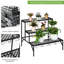 Metal Plant Stand