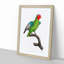 A Red-Cheeked Parrot by F. Levaillant - Framed Print-55450971-55450972