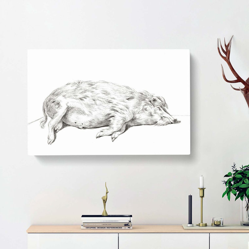Lying Pig by Jean Bernard - Wrapped Canvas Art - Wrapped Canvas, 35cm H x 50cm W x 3cm D