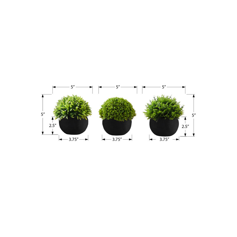 Ensemble de 3 plantes d'intérieur pour plantes d'intérieur, vert luxuriant, 5 pouces