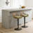 Modern Swivel Bar Stools Set-2038796339