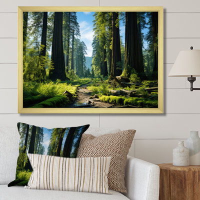 «Redwood Giants Tree Forest II», reproduction d'art sur toile