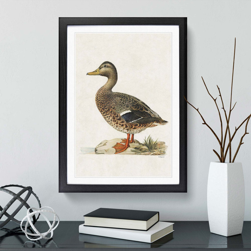 Female Mallard Duck by Von Wright - Picture Frame Painting Print, Black, 50cm H x 35cm W x 2cm D