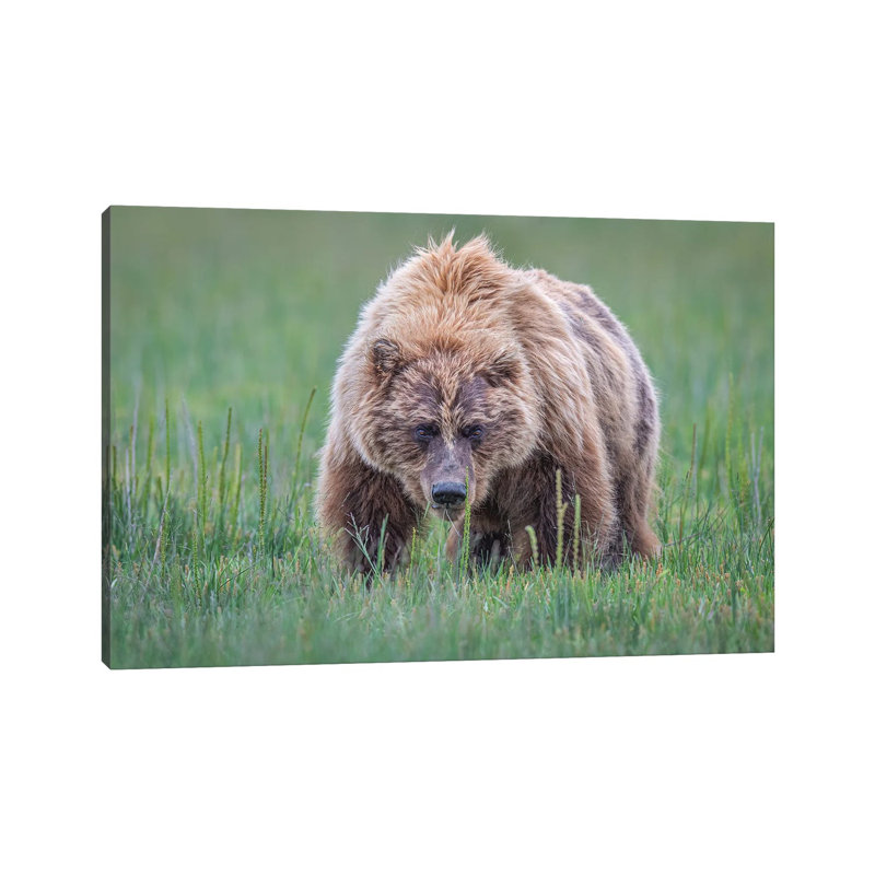 Coming Right At You by Jeffrey C. Sink - Wrapped Canvas Print, 66.04 cm H x 45.72 cm W x 1.91 cm D