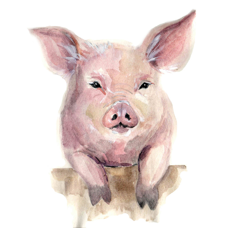Pig - Painting Print, 30 cm H x 20 cm W, Black Floater Framed