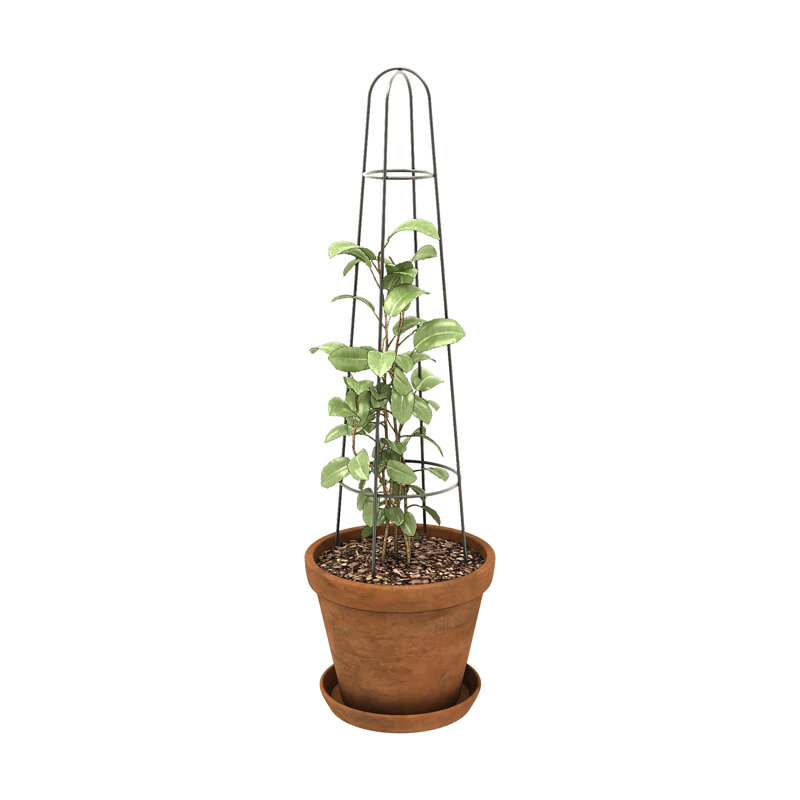 Anesia Metal Plant Support, Grey, 60cm H x 18cm W x 18cm D, 3