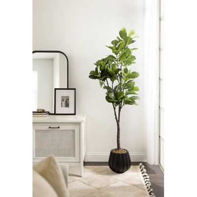 Fidmont Faux Fiddle Fig Tree with Claudel Scalloped Planter Pot
