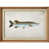 Natural Premium Frame n'est pas disponible
