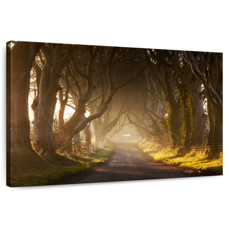 Mehar Pathway to the Woods, H 34 po x l 51 po