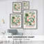 Matisse XIII, reproduction d'art encadrée - bois massif-975735452