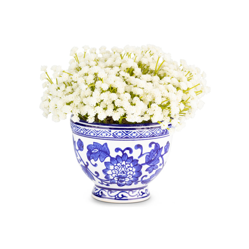 Colette Toile Baby's Breath Bowl