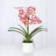 Polysilk Orchid Arrangement In Pot-2030385137-2030385142
