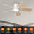 Leighton 42 Inch Ceiling Fan With Light With Remote Control-107128941