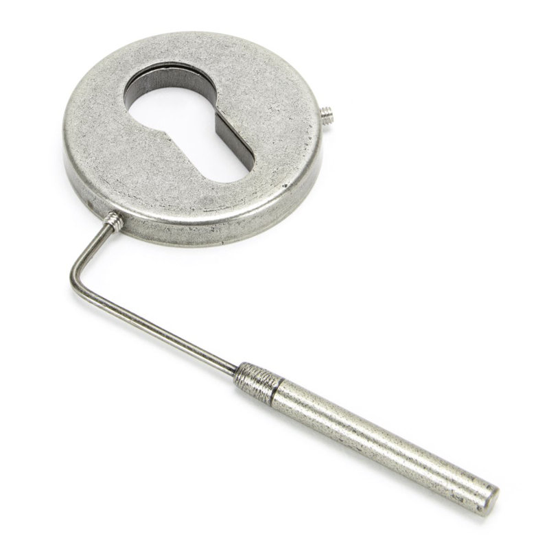 Regency Concealed Escutcheon Rosette, Pewter