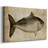 Big Catch I -Gallery Wrapped Cavas-2022497919