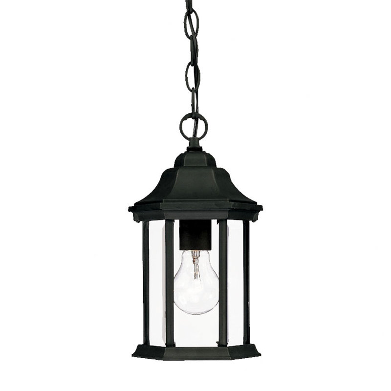 Pruitt Outdoor Hanging Lantern, Matte Black, Clear Beveled, No