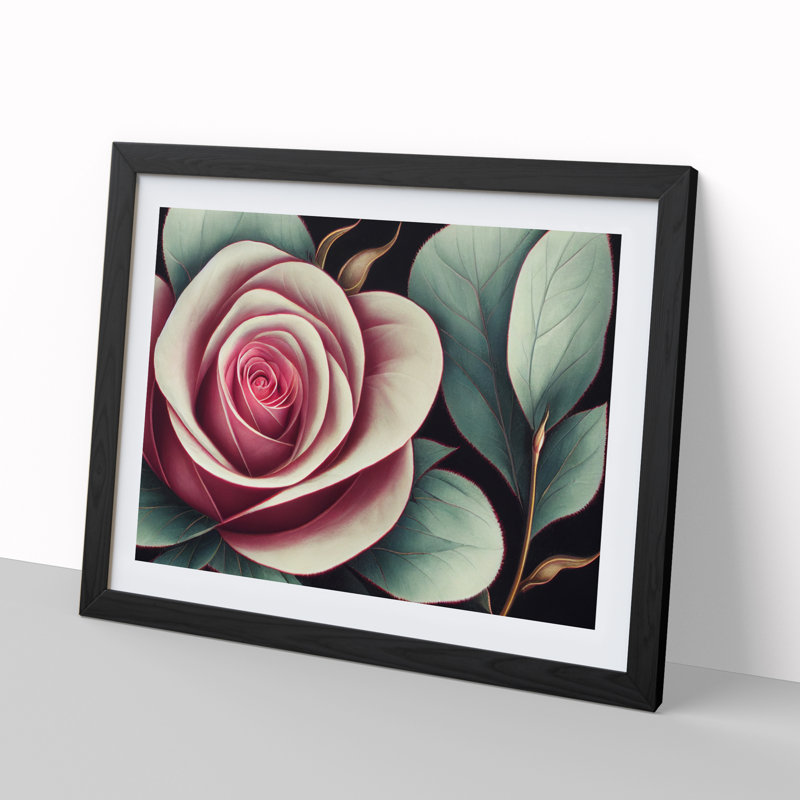 Splendid Rose Flower - Framed Print, Black, 46cm H x 64cm W x 2cm D
