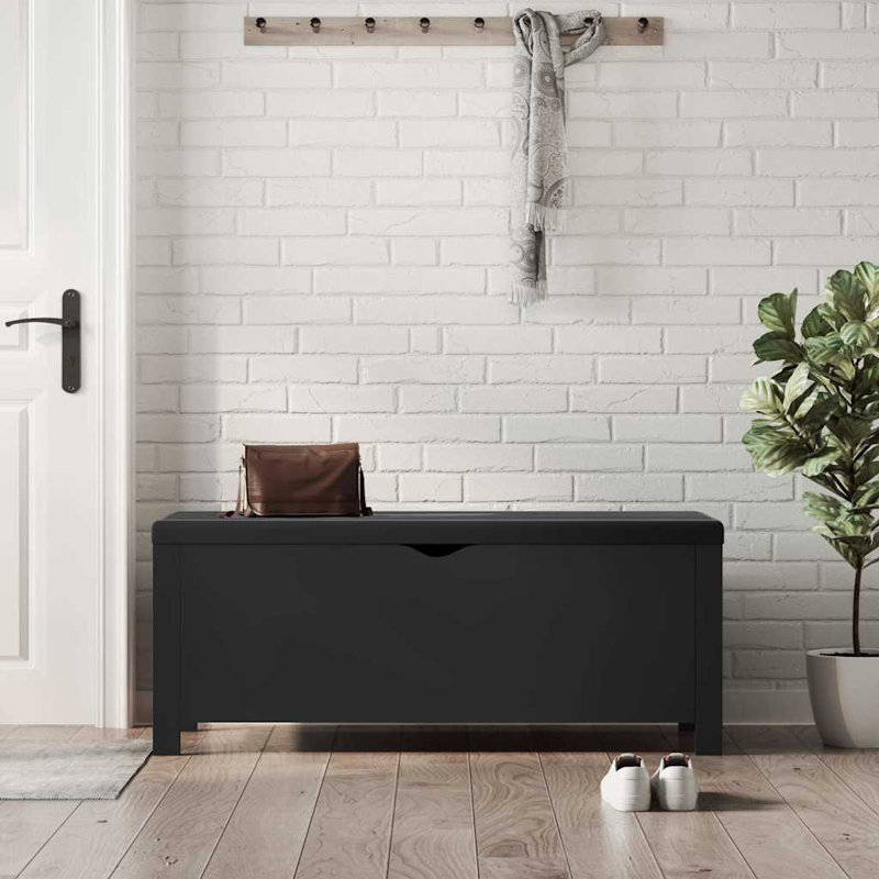 Banc de rangement en similicuir Atalfo, Noir, Blanc très luisant