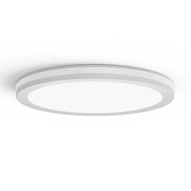 12Inch Smart Ceiling Light,24W 2400LM LED Flush Mount Ceiling Light With Remote,RGB Mode,3000K-6500K,10%-100% Dimmable,Smart APP Control,LED Light Fixture For Bedroom/Kitchen